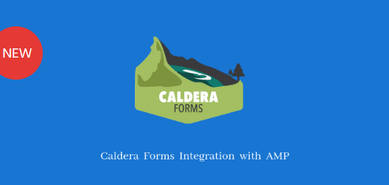 AMP – Caldera Forms