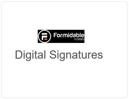 Formidable Forms –  Digital Signatures