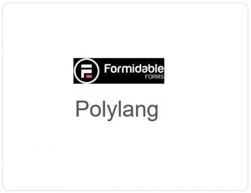 Formidable Forms – Polylang