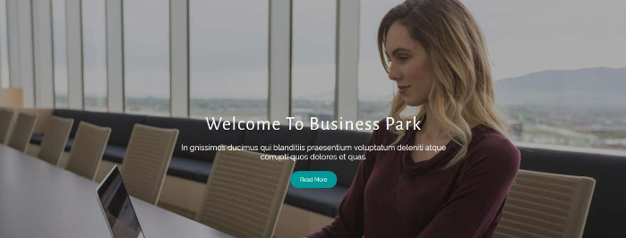 Theme Palace – Business Park Pro